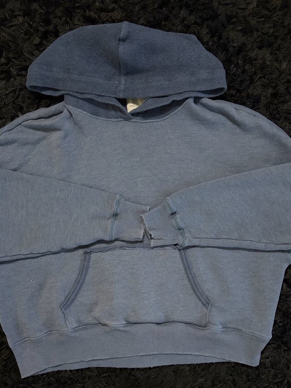 American Eagle Outfitters Washed Blue Crewneck Hoodie cropped